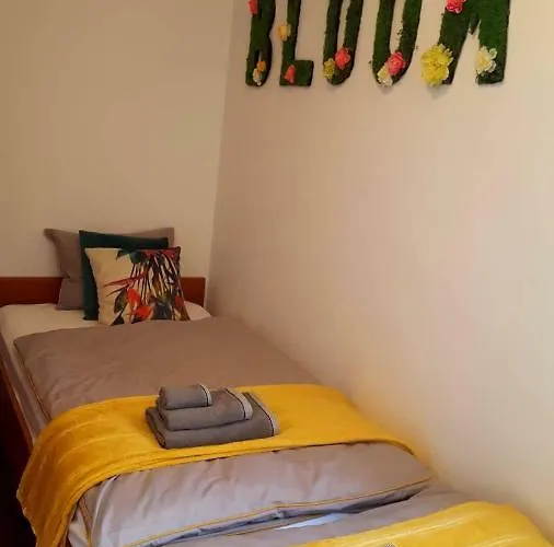 Greenhouse Apartament