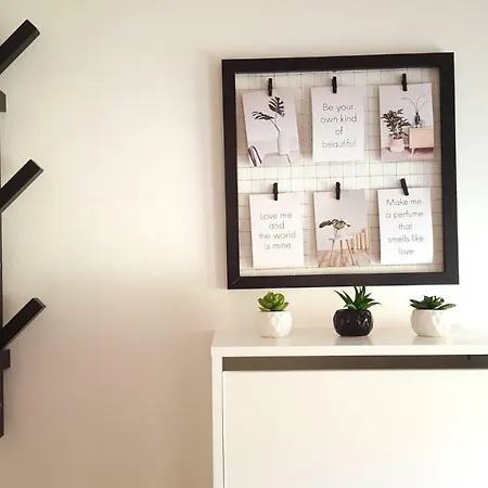 Greenhouse * Abbázia