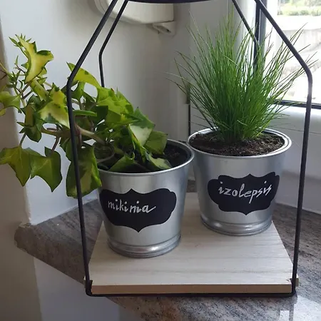 Greenhouse Appartamento Abbazia