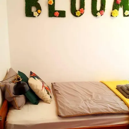 Greenhouse * Abbázia