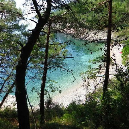 Greenhouse Apartman Abbázia