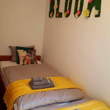 Greenhouse Appartamento