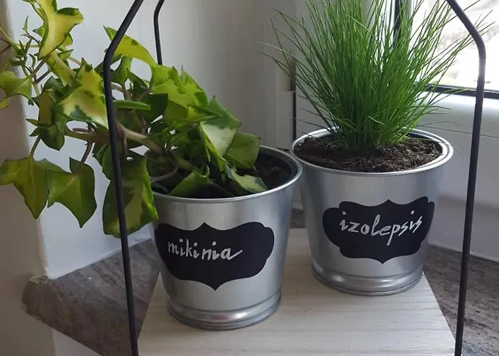 Greenhouse Apartmán Opatija
